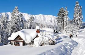 Gulmarg snowfall during Kashmir tour
